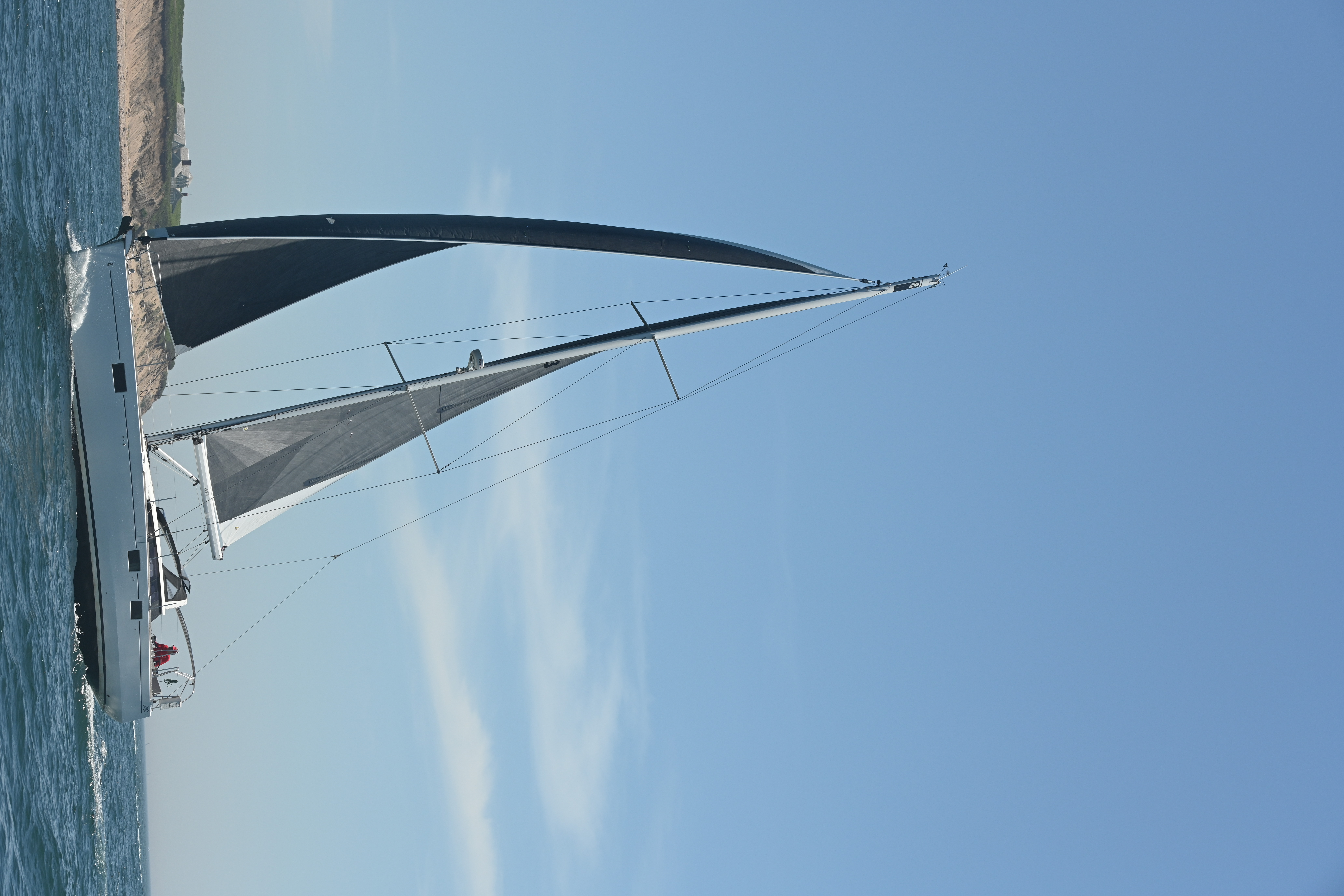 delphinus